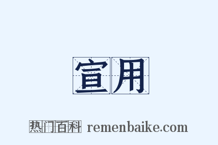 宣用是什么意思的图片